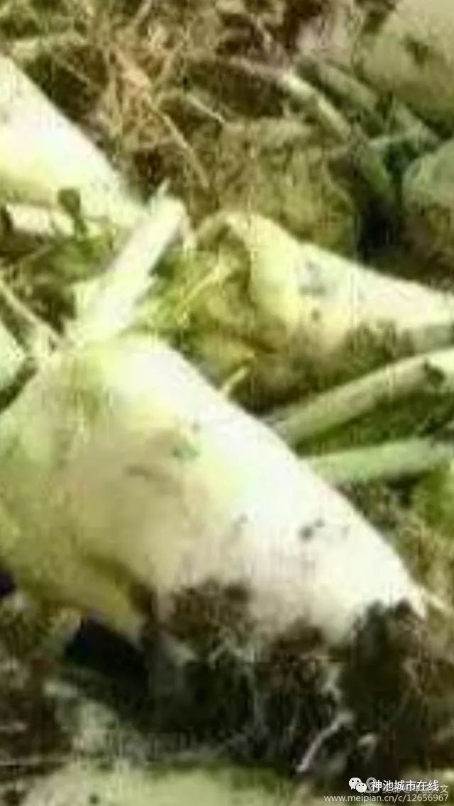 14 14