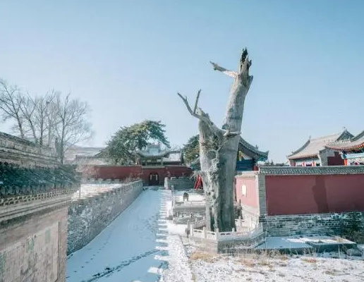 圖片 圖片