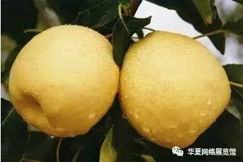圖片 圖片