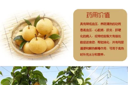 圖片 圖片