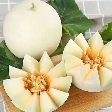 圖片 圖片