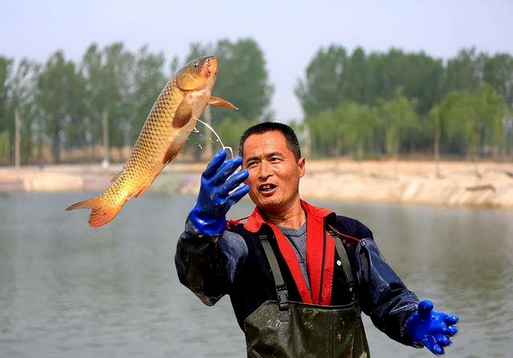 圖片 圖片