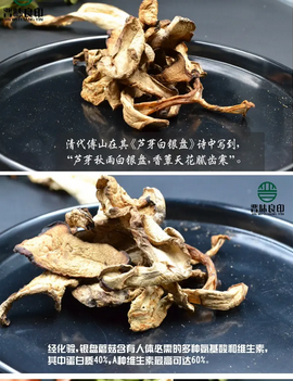 圖片 圖片